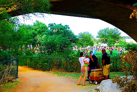 Austin_Texas-Bat_Watching_at_Congress_Avenue_Bridge-11.JPG