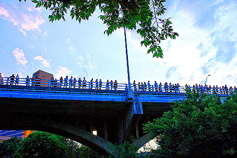 Austin_Texas-Bat_Watching_at_Congress_Avenue_Bridge-13.JPG