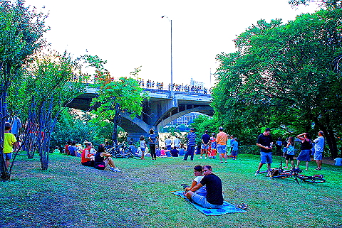 Austin_Texas-Bat_Watching_at_Congress_Avenue_Bridge-14.JPG