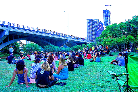 Austin_Texas-Bat_Watching_at_Congress_Avenue_Bridge-15.JPG