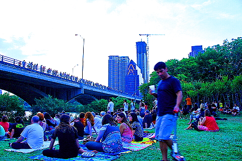 Austin_Texas-Bat_Watching_at_Congress_Avenue_Bridge-16.JPG