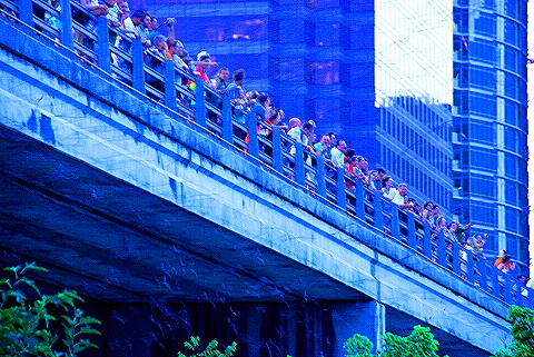 Austin_Texas-Bat_Watching_at_Congress_Avenue_Bridge-22.JPG