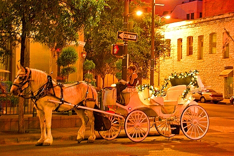 Austin_Texas-Nightshots-23-Horse_and_Carriage.JPG