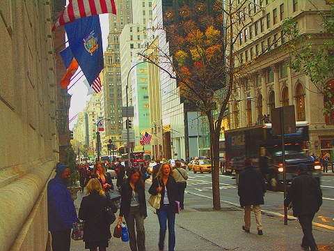 NY-5th_Avenue_Shopping-05.jpg