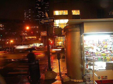 NY-66th_St_Subway_Station_in_the_rain-03.JPG