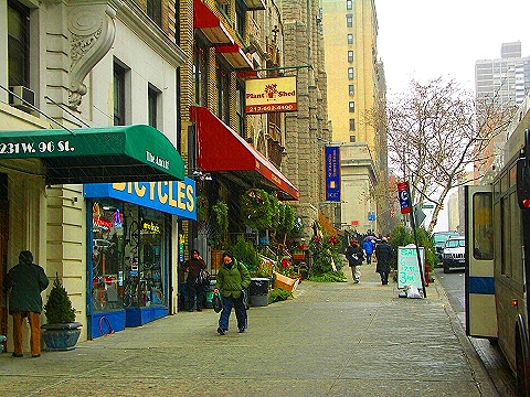 NY-96th_Street-Christmas-Plant_Shed-St-Francis_thrift_Shop-02.JPG