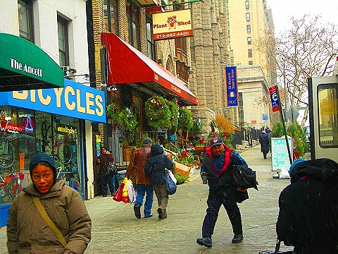 NY-96th_Street-Christmas-Plant_Shed-St-Francis_thrift_Shop-05.JPG