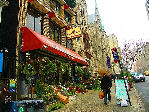 NY-96th_Street-Christmas-Plant_Shed-St-Francis_thrift_Shop-07.JPG