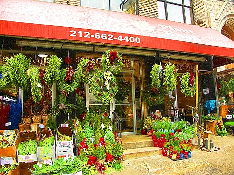 NY-96th_Street-Christmas-Plant_Shed-St-Francis_thrift_Shop-09.JPG