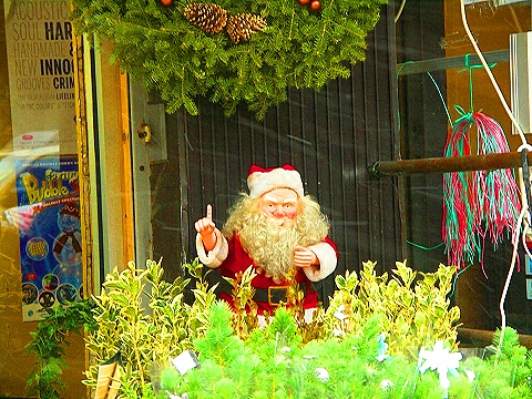 NY-96th_Street-Christmas-Plant_Shed-St-Francis_thrift_Shop-11.JPG