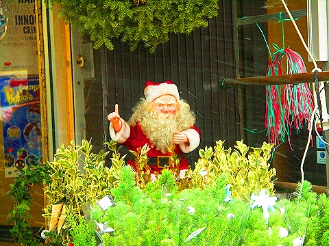 NY-96th_Street-Christmas-Plant_Shed-St-Francis_thrift_Shop-12.JPG