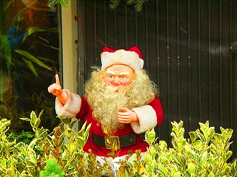 NY-96th_Street-Christmas-Plant_Shed-St-Francis_thrift_Shop-13.JPG