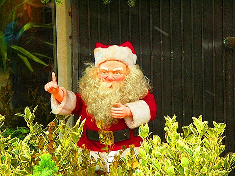 NY-96th_Street-Christmas-Plant_Shed-St-Francis_thrift_Shop-14.JPG