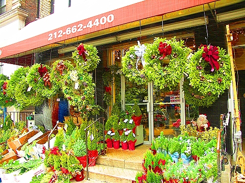NY-96th_Street-Christmas-Plant_Shed-St-Francis_thrift_Shop-15.JPG