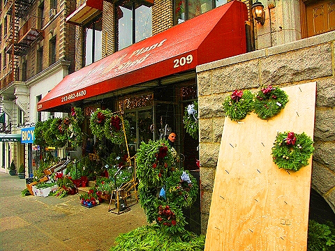 NY-96th_Street-Christmas-Plant_Shed-St-Francis_thrift_Shop-16.JPG