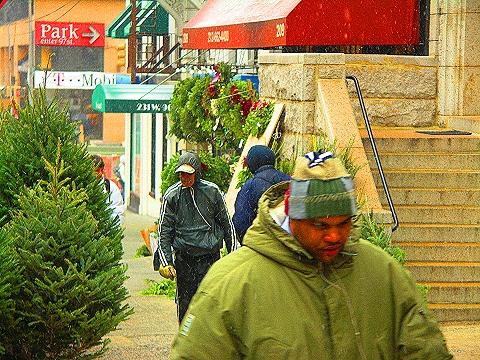 NY-96th_Street-Christmas-Plant_Shed-St-Francis_thrift_Shop-20.JPG