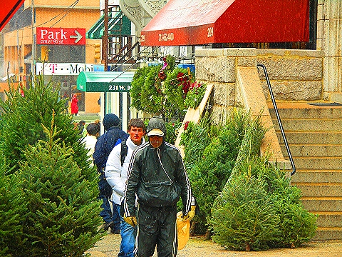 NY-96th_Street-Christmas-Plant_Shed-St-Francis_thrift_Shop-21.JPG
