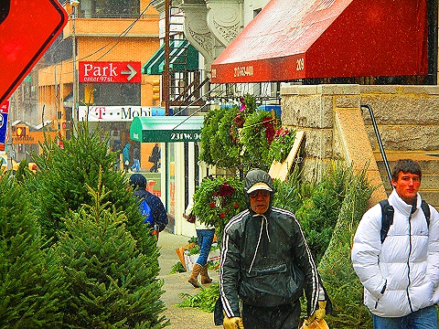 NY-96th_Street-Christmas-Plant_Shed-St-Francis_thrift_Shop-22.JPG