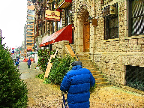NY-96th_Street-Christmas-Plant_Shed-St-Francis_thrift_Shop-24.JPG