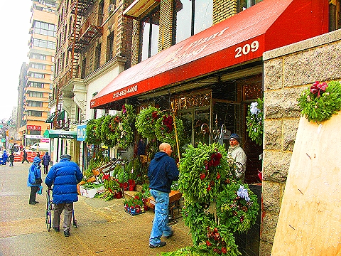 NY-96th_Street-Christmas-Plant_Shed-St-Francis_thrift_Shop-25.JPG