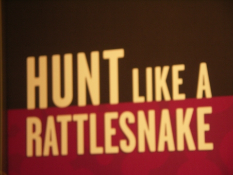 NY-American_Museum_of_Natural_History-Lizards_and_Snakes_Alive-22.jpg