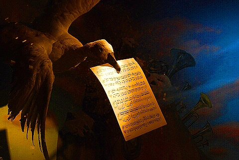 NY-Bergdorf_Goodman_Christmas_Windows-2008-05.JPG