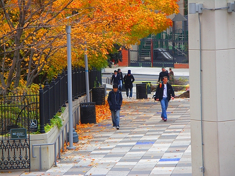 NY-BMCC_CUNY-199_Chambers_Street_Campus-5.JPG