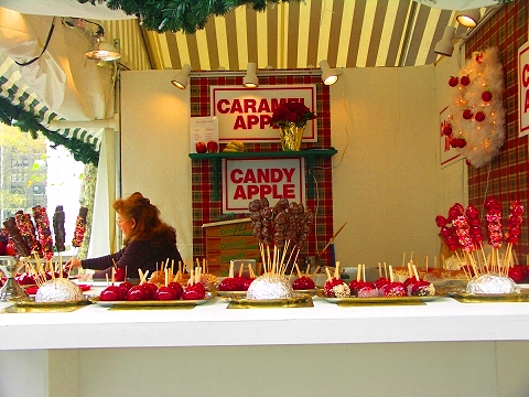 NY-Brant_Park-Christmas_Market_and Ice_Skating_Rink-09.JPG