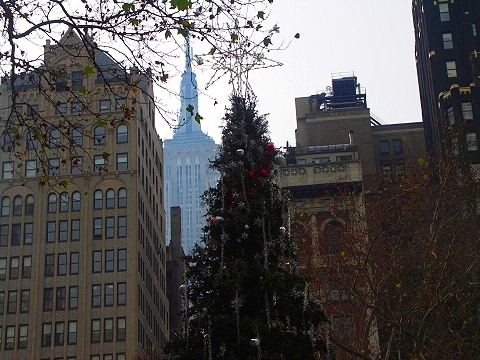 NY-Brant_Park-Christmas_Market_and Ice_Skating_Rink-13.JPG