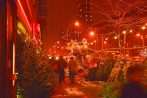 NY-Broadway-Pre_Christmas_Snow-01.JPG