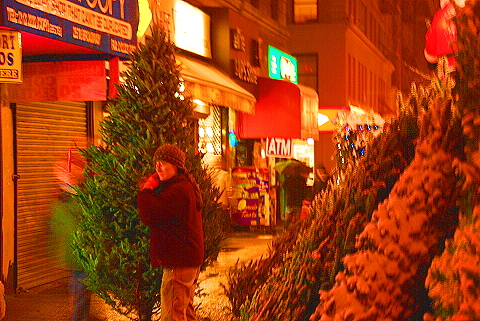 NY-Broadway-Pre_Christmas_Snow-07.JPG