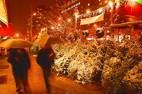 NY-Broadway-Pre_Christmas_Snow-08.JPG