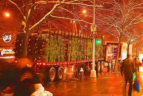 NY-Broadway-Pre_Christmas_Snow-12.JPG