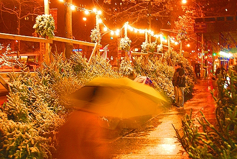 NY-Broadway-Pre_Christmas_Snow-31.JPG