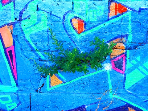 NY-Brooklyn-Graffiti-Woodhull_and_Columbia Streets-7.JPG