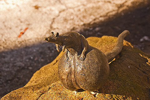 NY-Brooklyn-Pratt_Institute_of_Design-Sculptures-01.jpg