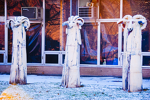 NY-Brooklyn-Pratt_Institute_of_Design-Sculptures-17.jpg