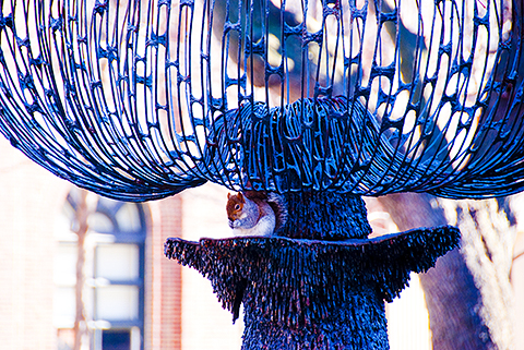 NY-Brooklyn-Pratt_Institute_of_Design-Sculptures-18.jpg