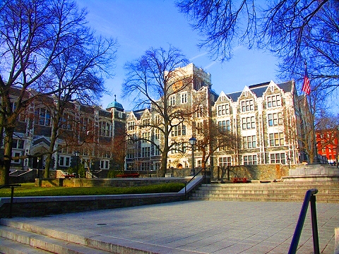 http://www.z-mation.com/phpbb/files/ny_ccny_city_college_of_new_york_campus_15_107.jpg