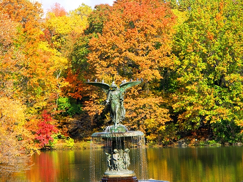 NY-Central_Park-Angel-Autumn_2006-09.jpg