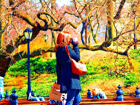 central park spring. NY- Band new york central park spring. central park spring. NY- Band