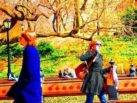 NY-Central_Park_Bandshell-Patriotic_Pops_Concert-Spring_2008-14.JPG