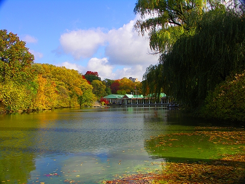 NY-Central_Park_Boathouse-Autumn_2006-04.jpg