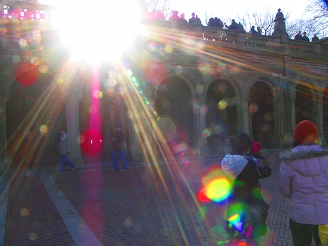 NY-Central_Park-Christmas_2007-01.JPG