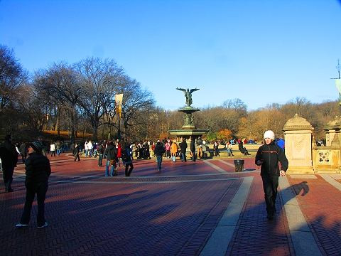 NY-Central_Park-Christmas_2007-02.JPG