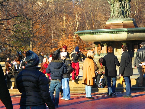NY-Central_Park-Christmas_2007-03.JPG