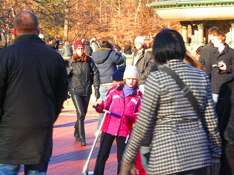 NY-Central_Park-Christmas_2007-04.JPG