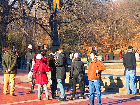 NY-Central_Park-Christmas_2007-07.JPG