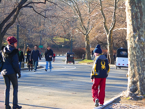 NY-Central_Park-Christmas_2007-11.JPG