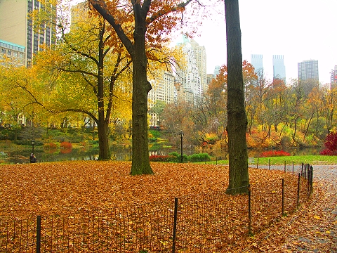 NY-Central_Park-Duck_Pond-Fall_Color-01.jpg